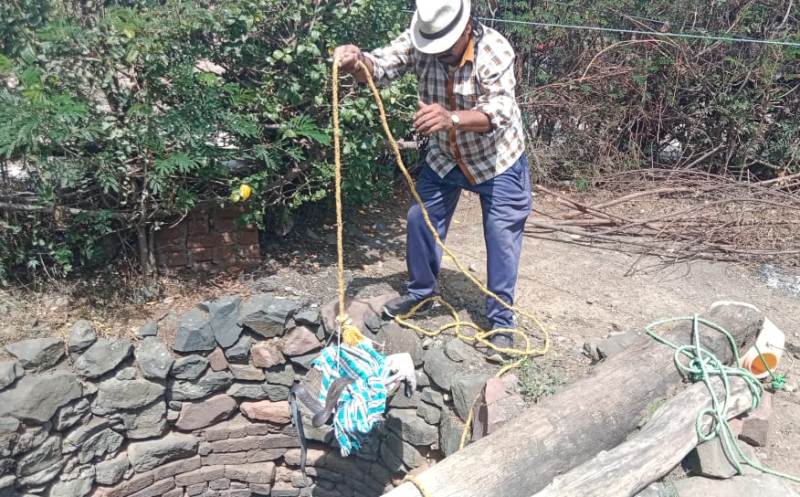 Cobra rescued from 70-ft well in central India