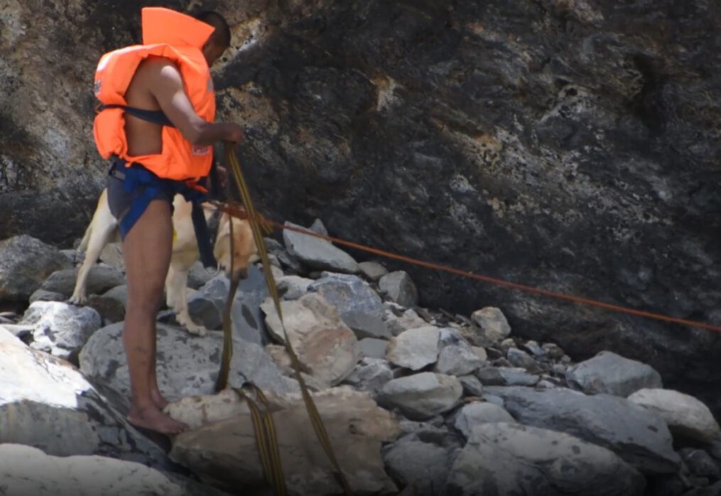 ITBP officers rescue stranded pet dog of homestay owner in northern India