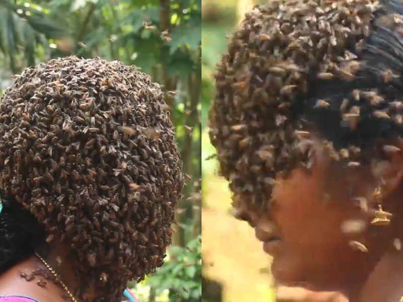 Woman wears live bees on her face to highlight issue of gradual extinction of the honey bees