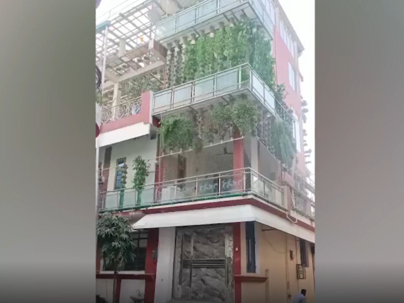 Man turns three-storey building into organic farm in northern India