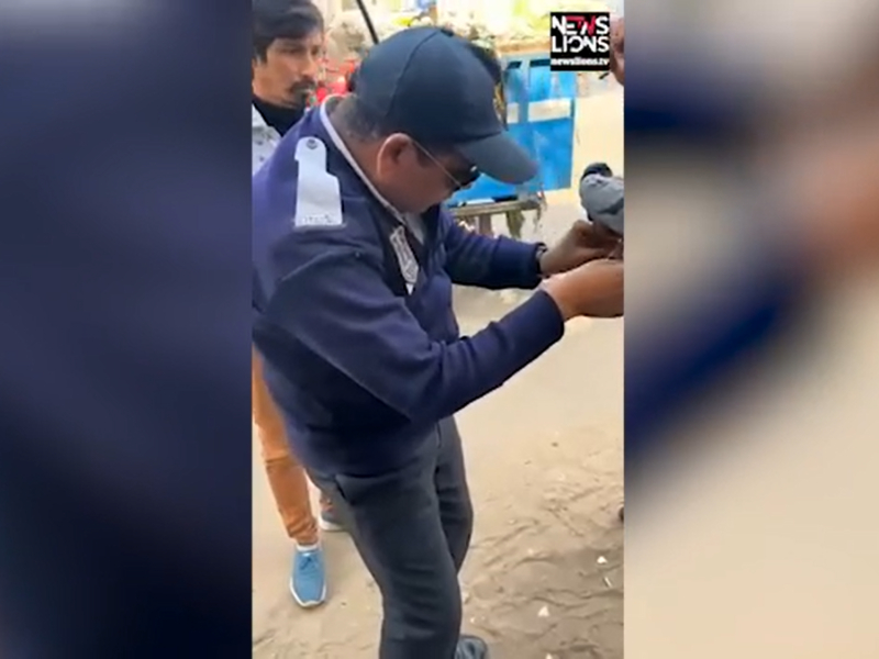 Traffic cop rescues pigeon stuck on electric cable in northern India