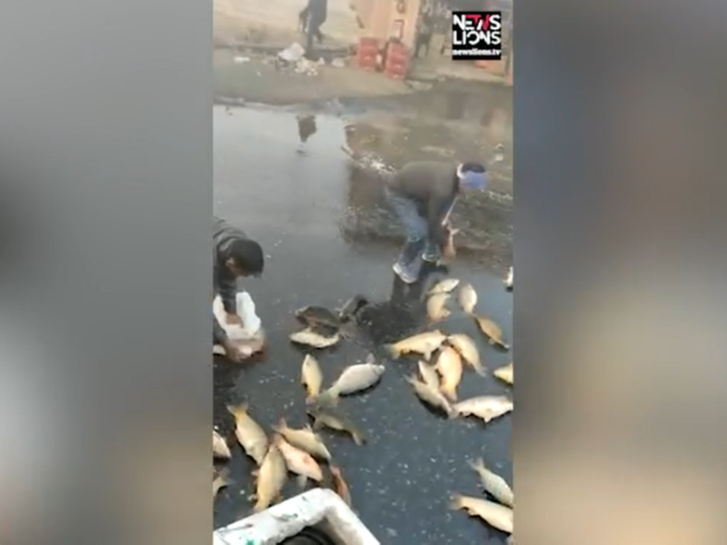 Police officers suspended for looting fish after vehicle carrying it overturns in eastern India