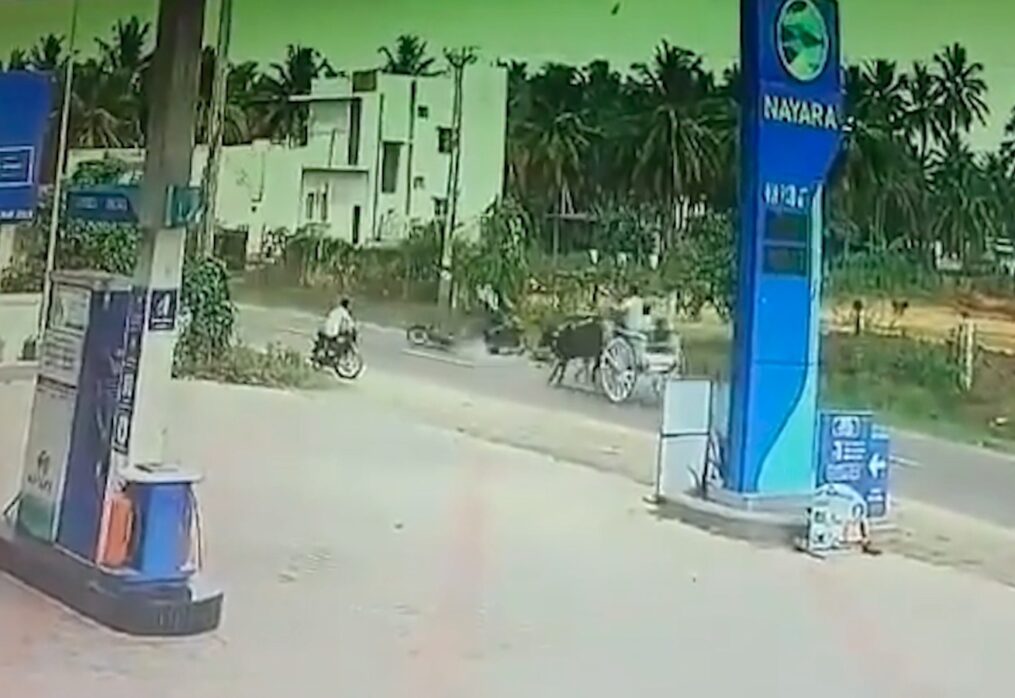 Chilling moment two-wheeler crashes into bullock cart in southern India