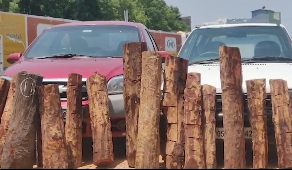 Police bust sandalwood smuggling racket, eight inter-state thieves arrested in southern India