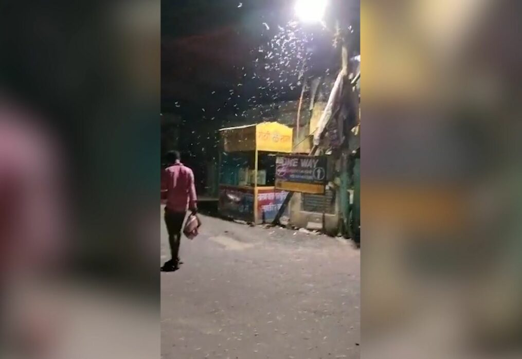 White worms rain from the sky in northern India