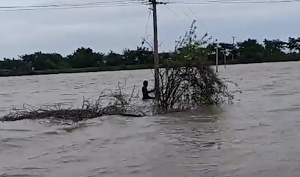 Heroic electric worker restores power amidst danger in southern India