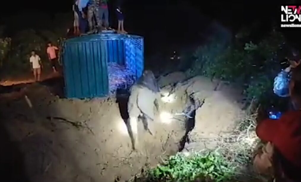 Bison rescued after it fell into well in western India