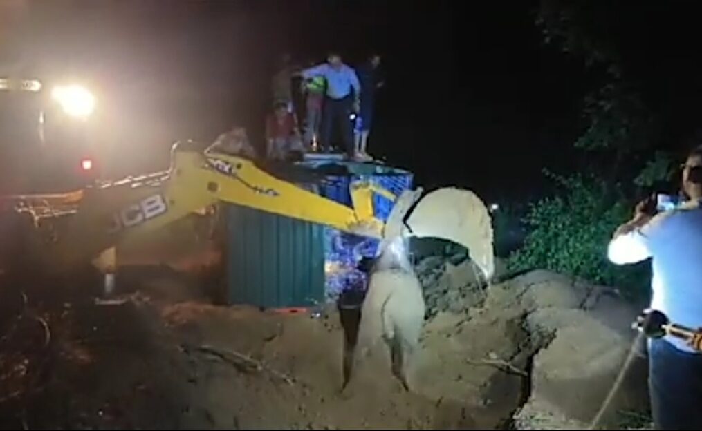 Bison rescued after it fell into well in western India