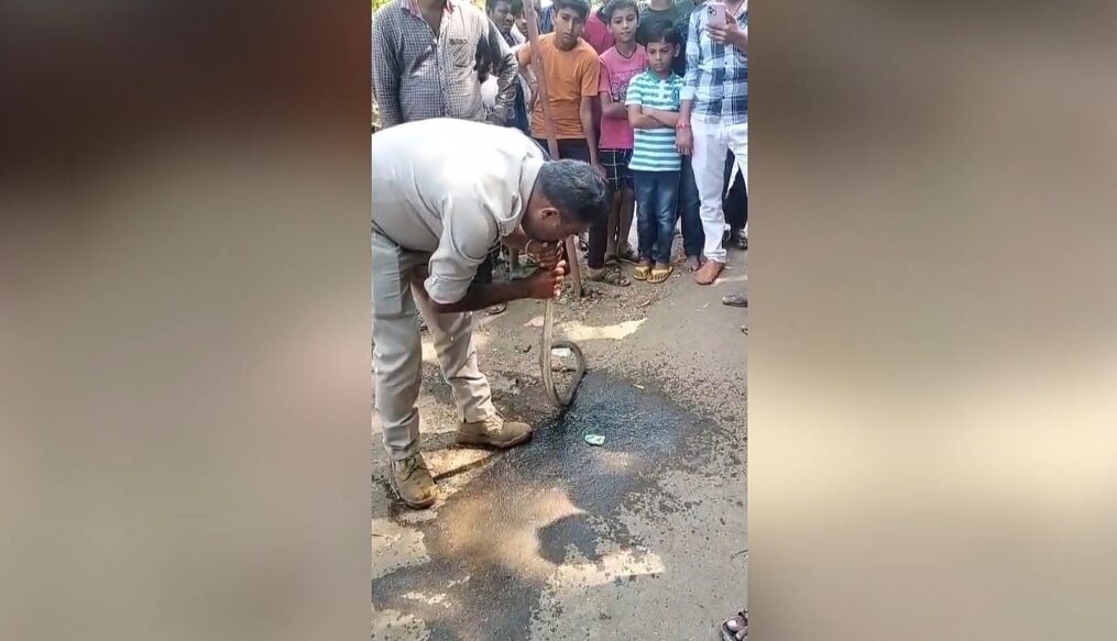 Cop saves snake’s life giving it CPR in central India
