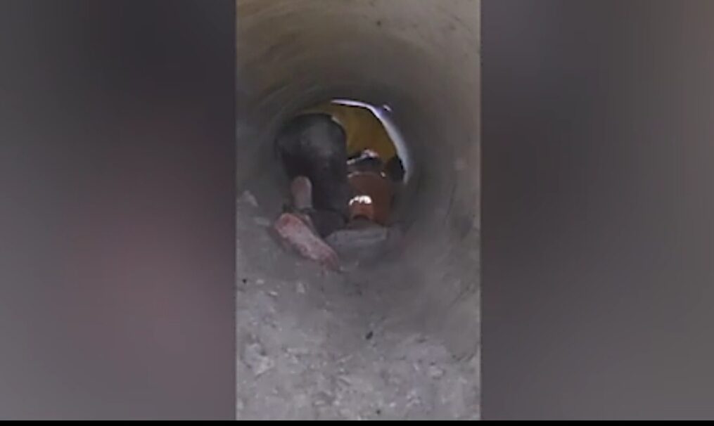 Labourers successfully evacuated from tunnel after being trapped for 17 days in northern India, immediate first aid provided