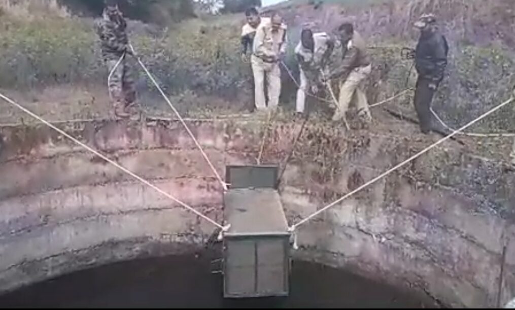 Officials rescue leopard after it falls into well in central India