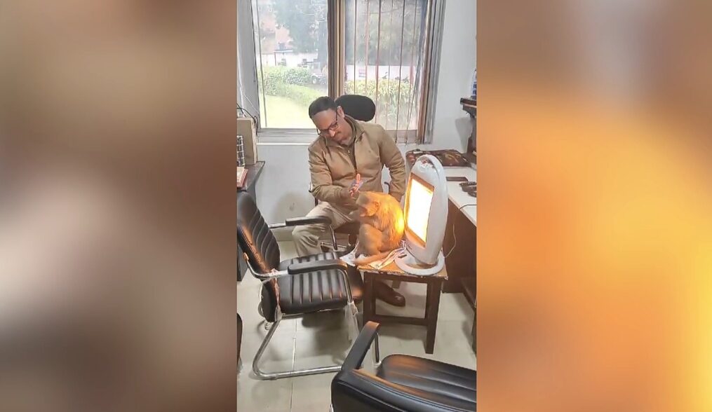 Heart-‘WARMING’! Amidst biting cold weather, cop comes up with noble gesture for stray monkey in northern India
