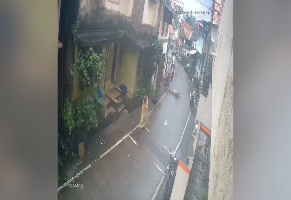 Electric shock claims life of wireman while fixing street light in western India