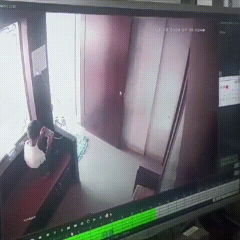 Boy shows excellent presence of mind to trap leopard after it strays into office space in western India_GIF_converted